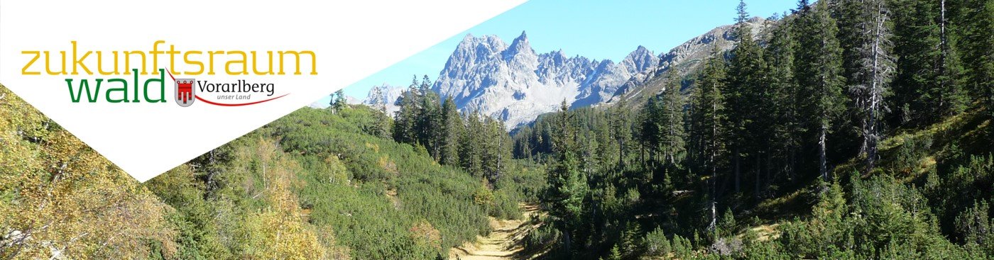 Pressebild Land Vorarlberg